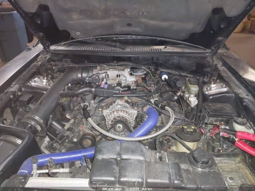 1999 Ford Mustang Gt VIN: 1FAFP45X4XF169132 Lot: 43814644