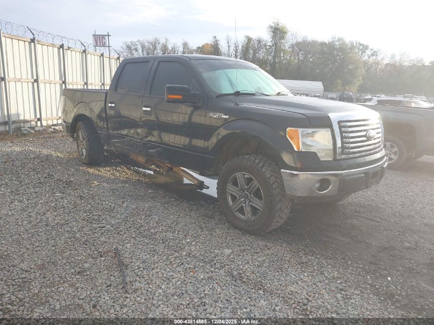 FORD F-150 XLT