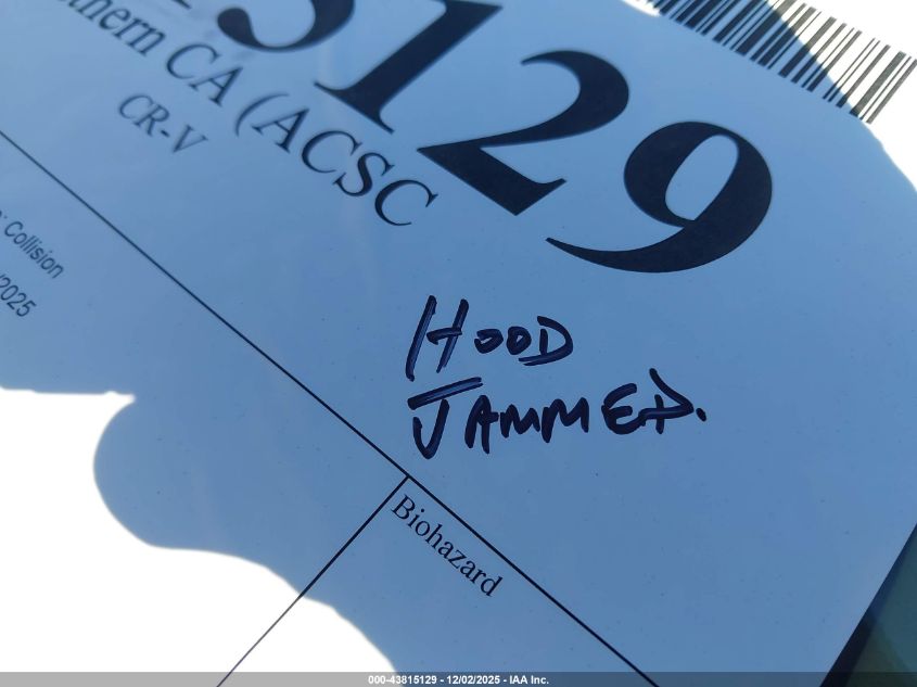 2009 Honda Cr-V Ex VIN: JHLRE38509C010343 Lot: 43815129