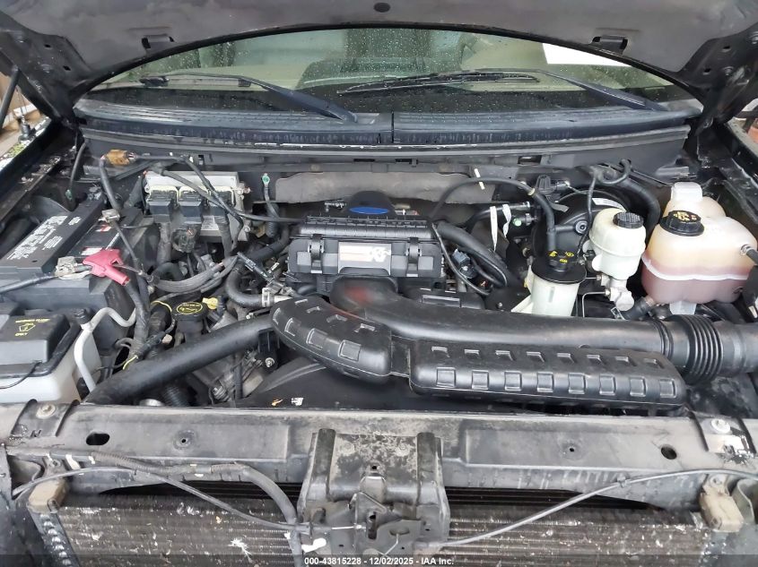 2005 Ford F-150 Fx4/Lariat/Xlt VIN: 1FTPW14505KE36593 Lot: 43815228