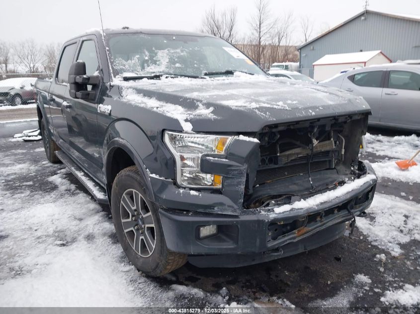 FORD F-150 XLT