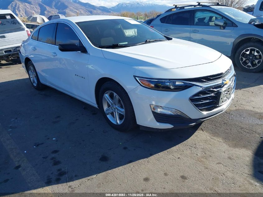 CHEVROLET MALIBU 1LS