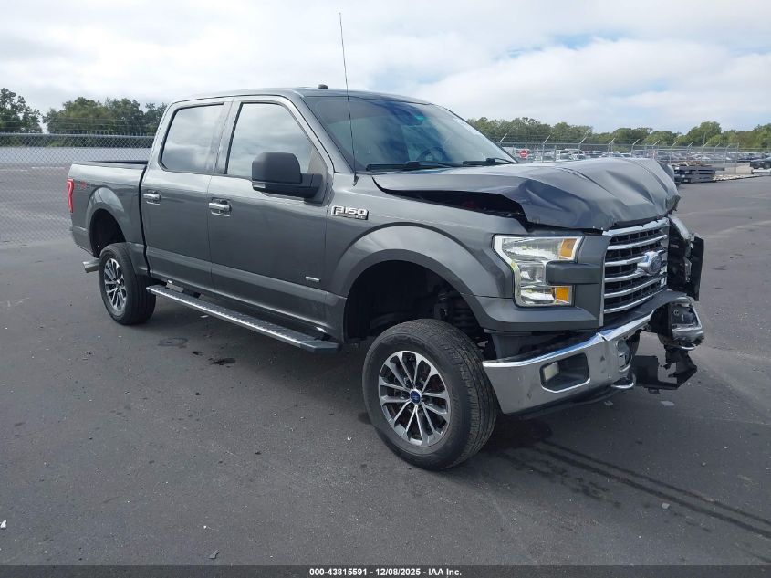 FORD F-150 XLT