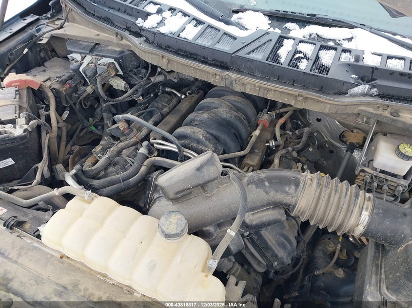 1FTFW1E52PKE39279 2023 FORD F-150 photo no. 10