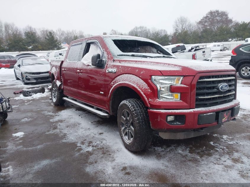 FORD F-150 XLT