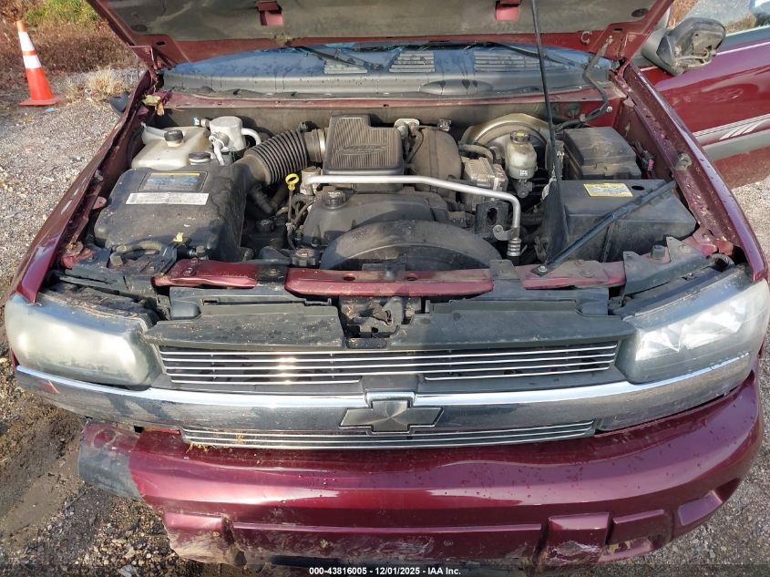 2004 Chevrolet Trailblazer Ls VIN: 1GNDT13S542324171 Lot: 43816005