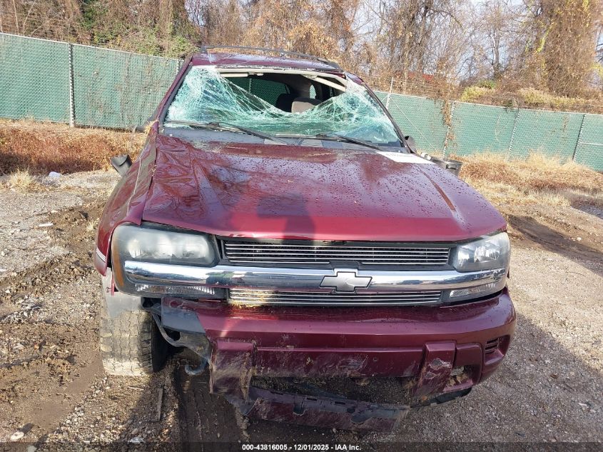 2004 Chevrolet Trailblazer Ls VIN: 1GNDT13S542324171 Lot: 43816005