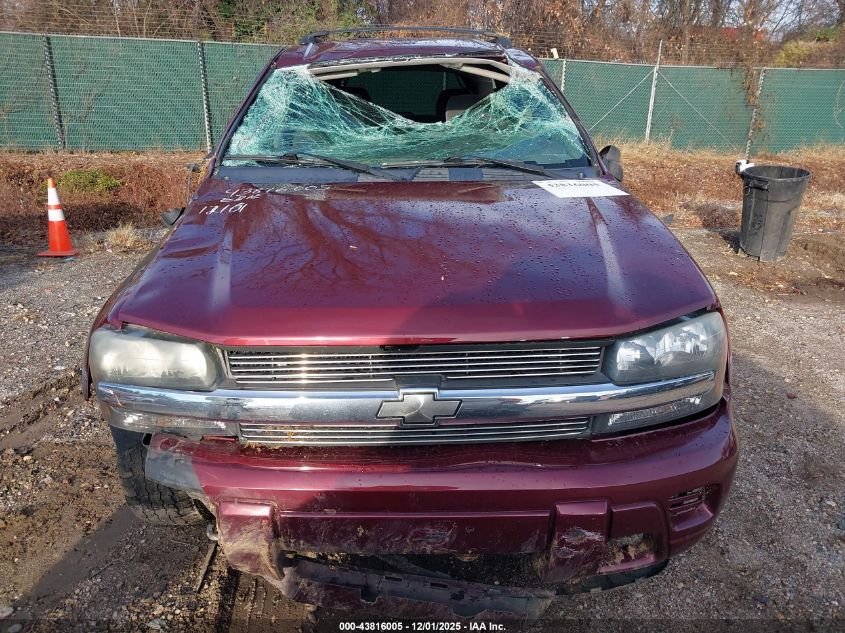 2004 Chevrolet Trailblazer Ls VIN: 1GNDT13S542324171 Lot: 43816005