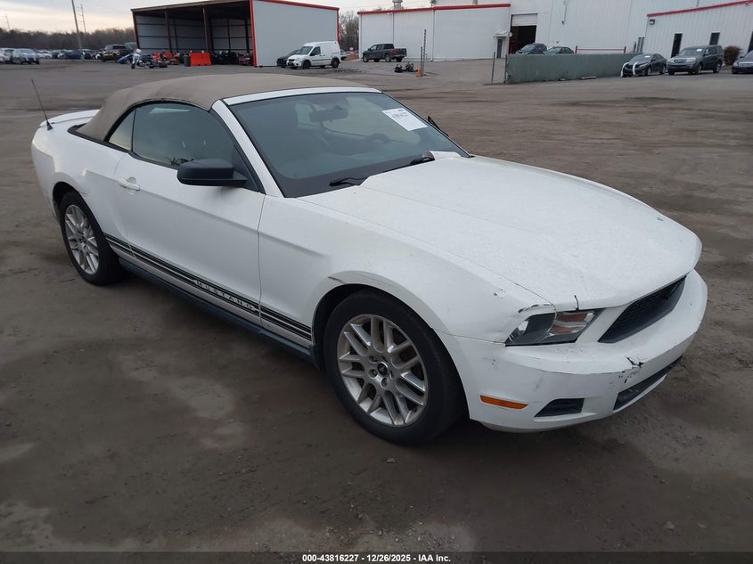 1ZVBP8EN6A5166175 2010 Ford Mustang V6/V6 Premium auction photo 1