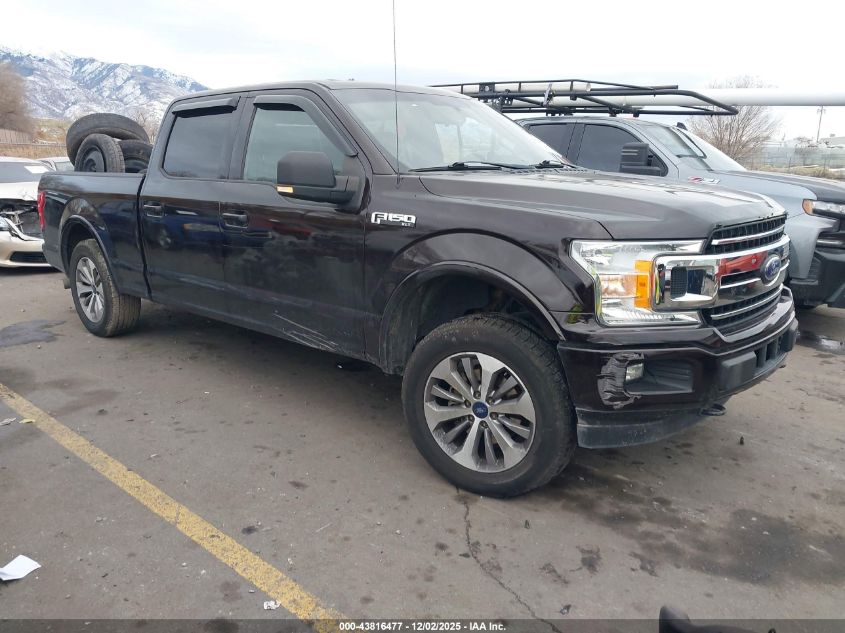 FORD F-150 XLT