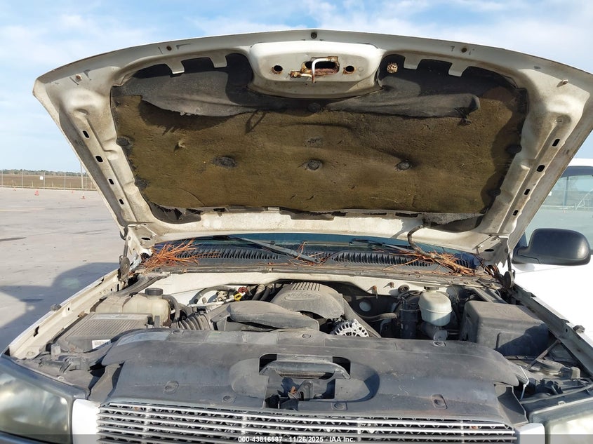 2004 Chevrolet Silverado 1500 Z71 VIN: 2GCEK19T941104838 Lot: 43816587