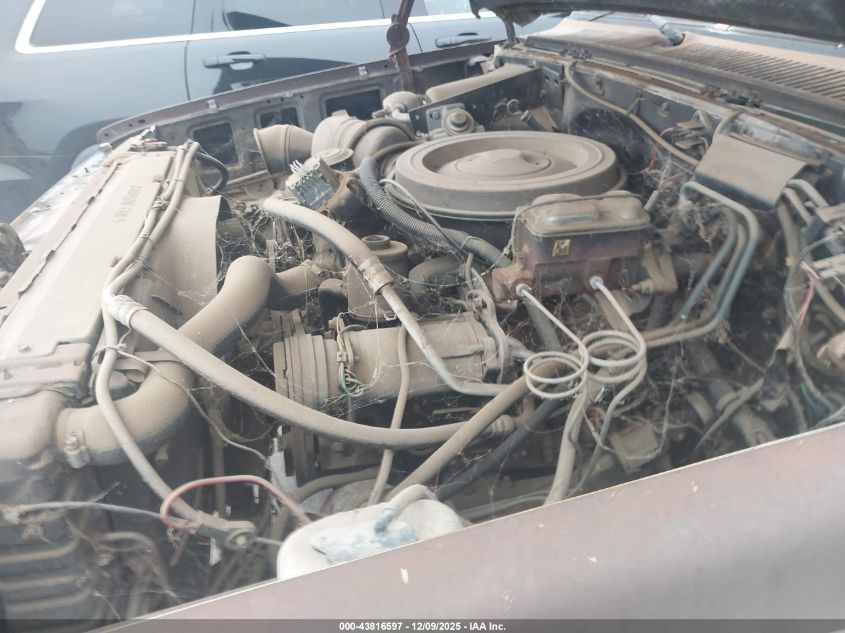 1984 Chevrolet Suburban K10 VIN: 1G8EK16C9EF146600 Lot: 43816597