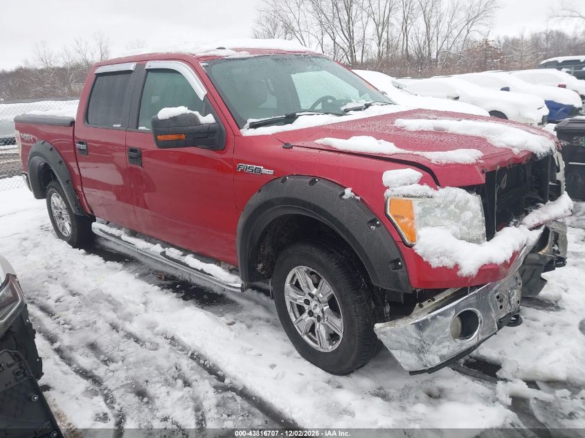 FORD F-150 XLT
