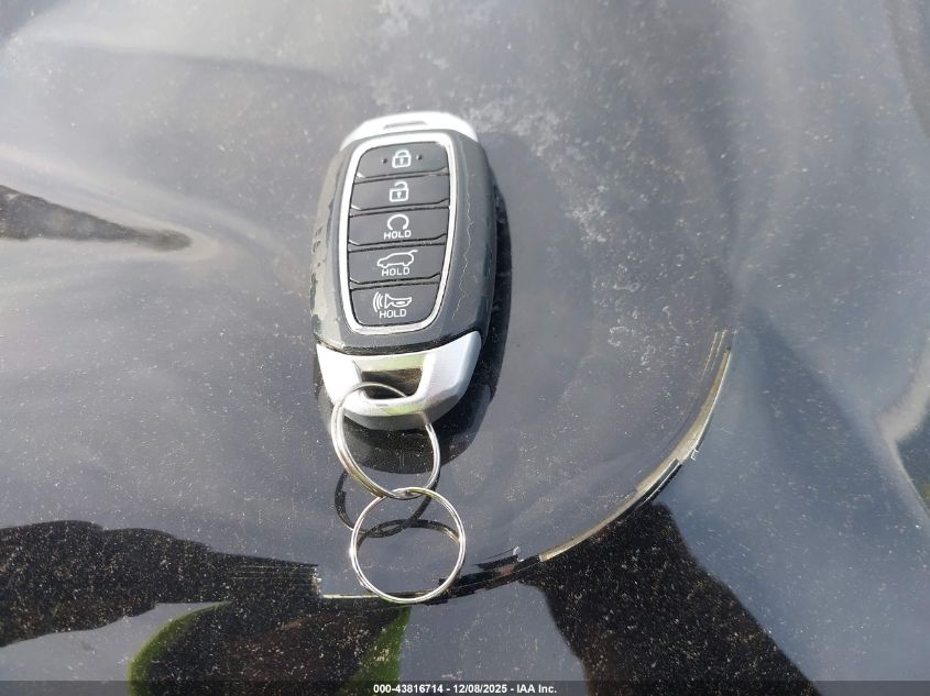 2020 Hyundai Palisade Sel VIN: KM8R4DHE4LU122601 Lot: 43816714