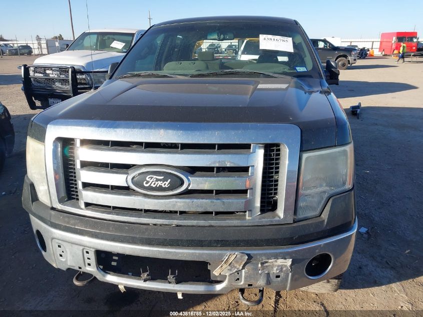 2009 Ford F-150 Xlt VIN: 1FTRW12869FA76041 Lot: 43816785