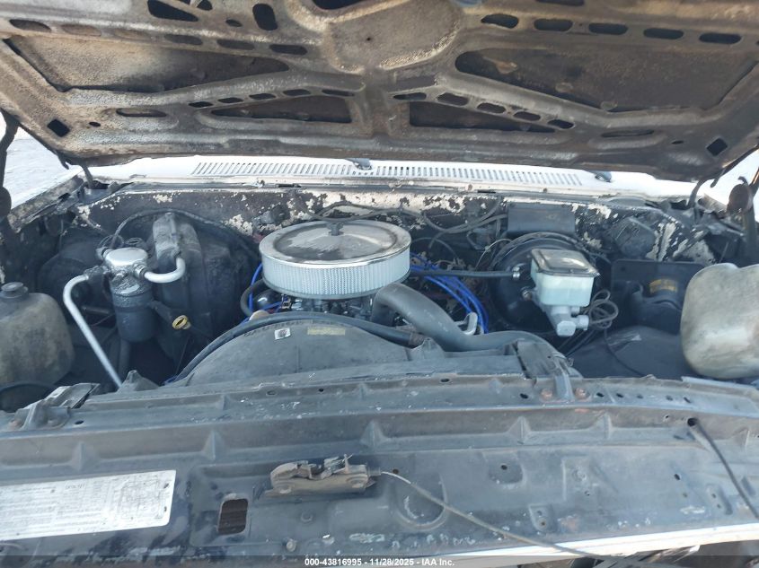 1986 Chevrolet C20 VIN: 1GCEC24NXGF395164 Lot: 43816995