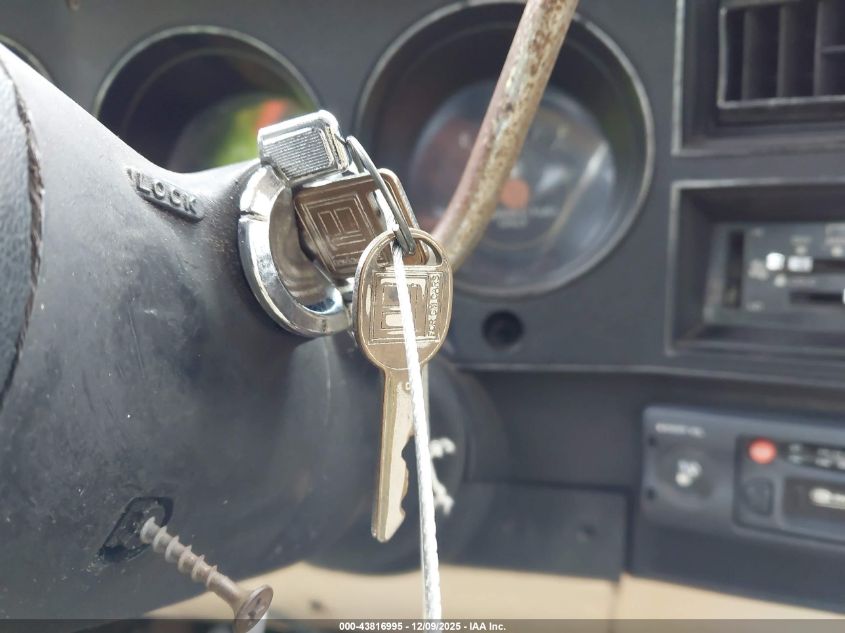 1986 Chevrolet C20 VIN: 1GCEC24NXGF395164 Lot: 43816995