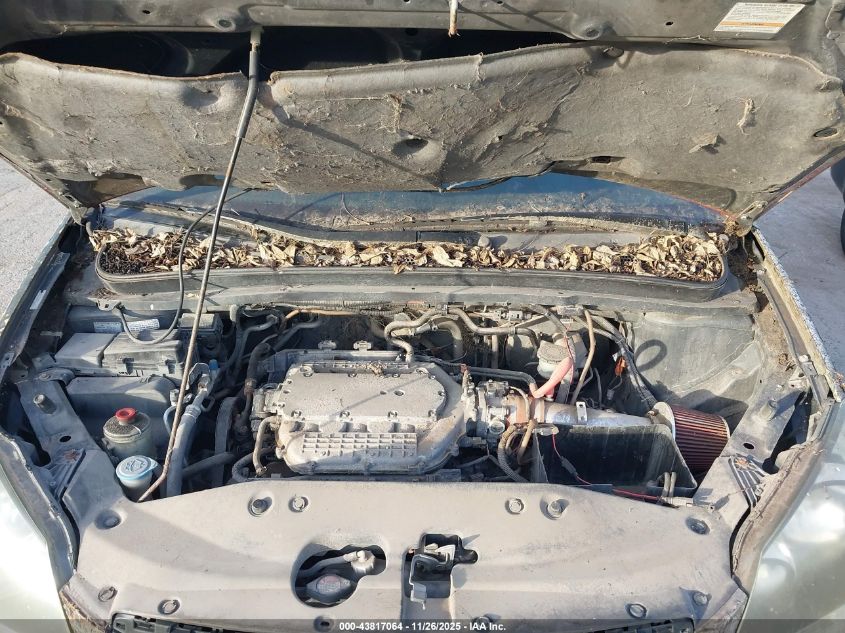 2005 Honda Odyssey Ex-L VIN: 5FNRL386X5B417529 Lot: 43817064