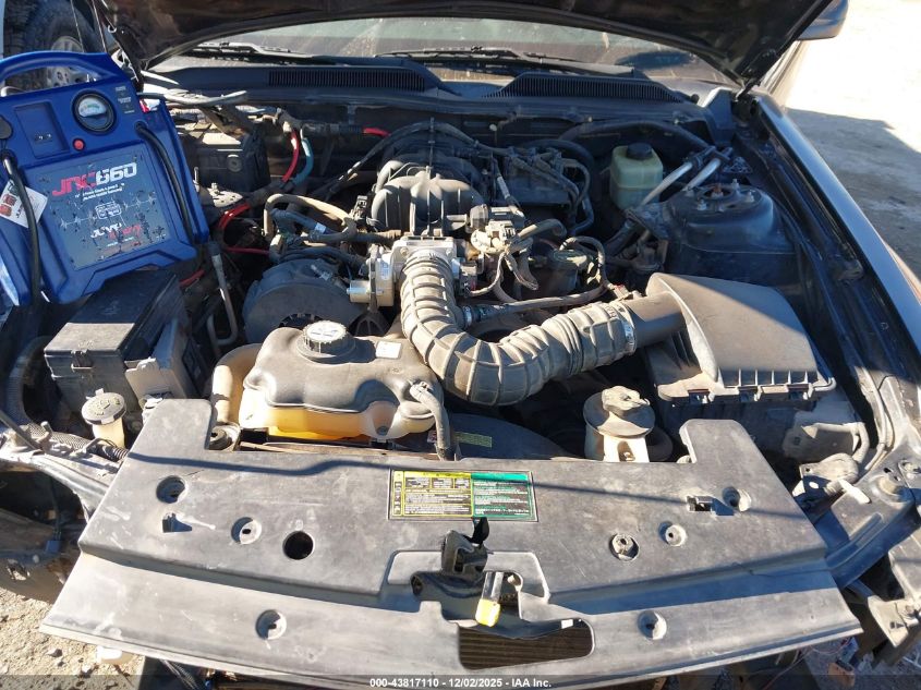 2005 Ford Mustang V6 Deluxe/V6 Premium VIN: 1ZVFT80N555204165 Lot: 43817110