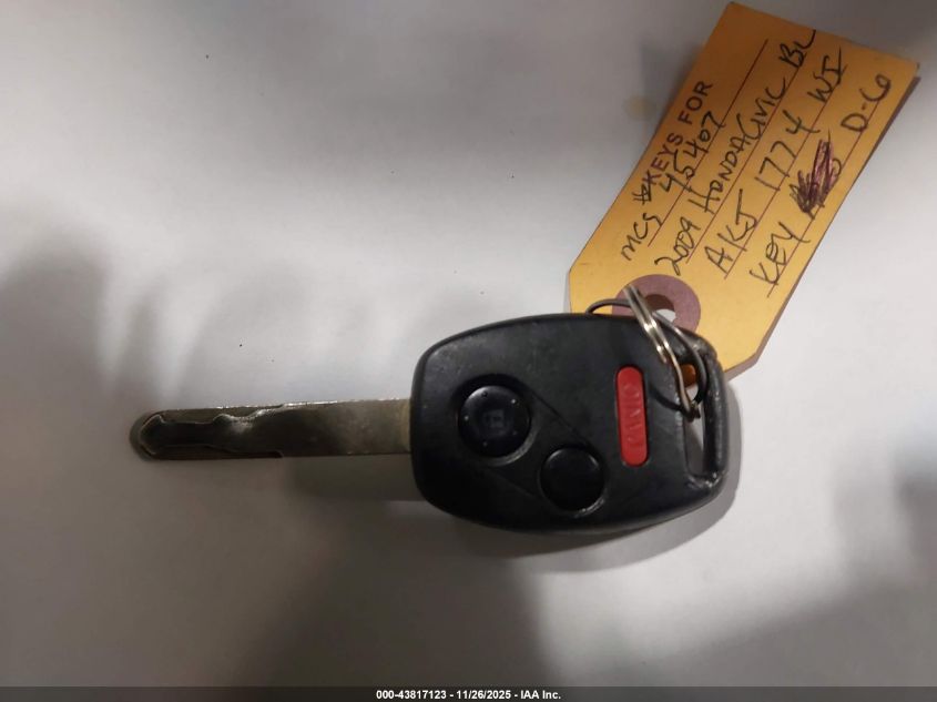 2009 Honda Civic Lx VIN: 19XFA165X9E036993 Lot: 43817123