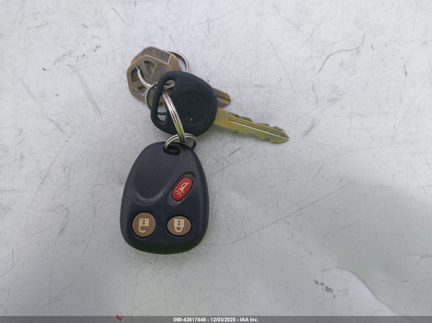 2004 Chevrolet Silverado 1500 Ls VIN: 2GCEC19T941134449 Lot: 43817448