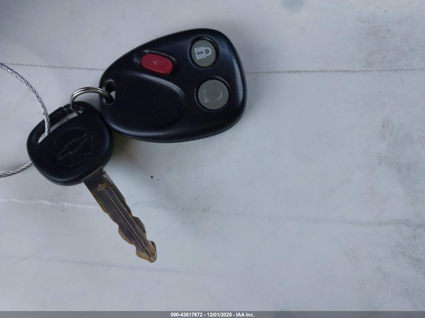 2004 Chevrolet Silverado 1500 Ls VIN: 1GCEC19T54E402167 Lot: 43817672