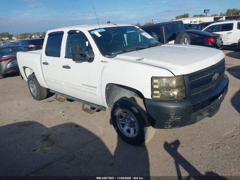 CHEVROLET SILVERADO 1500 1HY