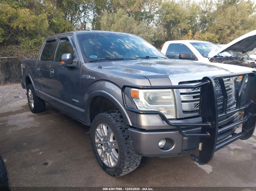 FORD F-150 PLATINUM