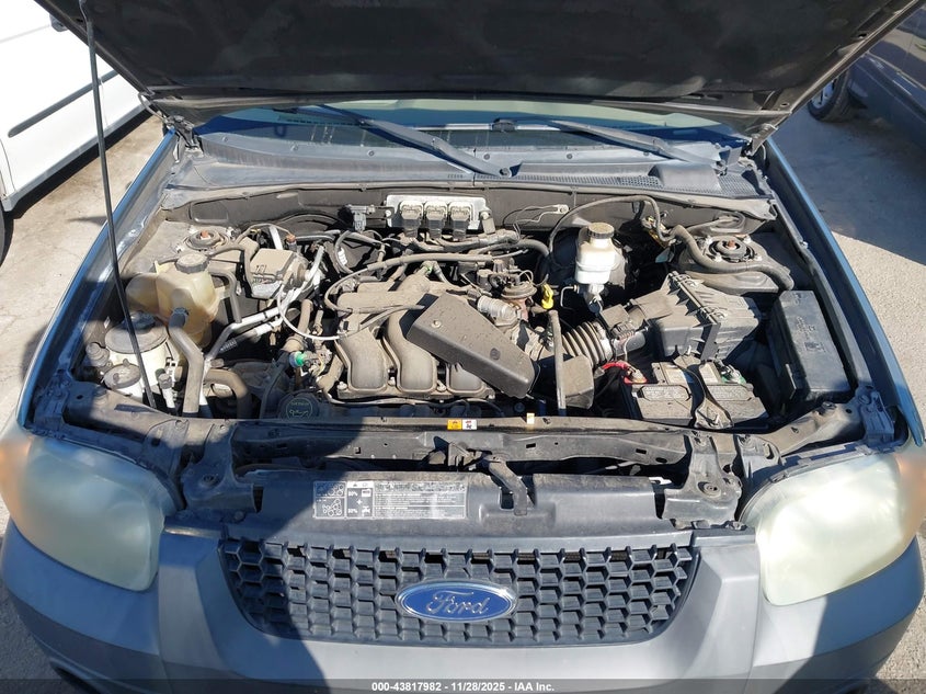 2005 Ford Escape Xlt VIN: 1FMYU03125KB10700 Lot: 43817982