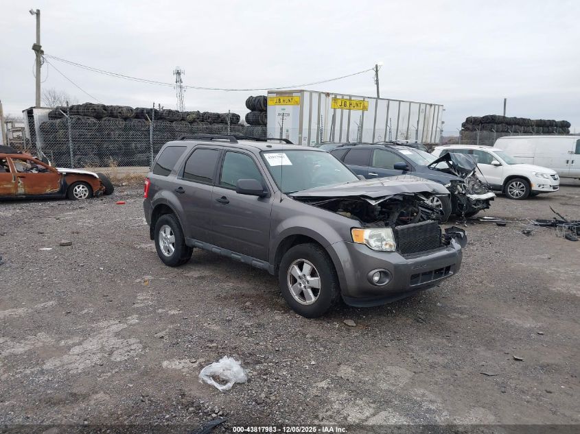 FORD ESCAPE XLT