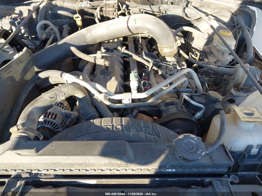 2005 Jeep Wrangler Unlimited VIN: 1J4FA44S25P317040 Lot: 43818344