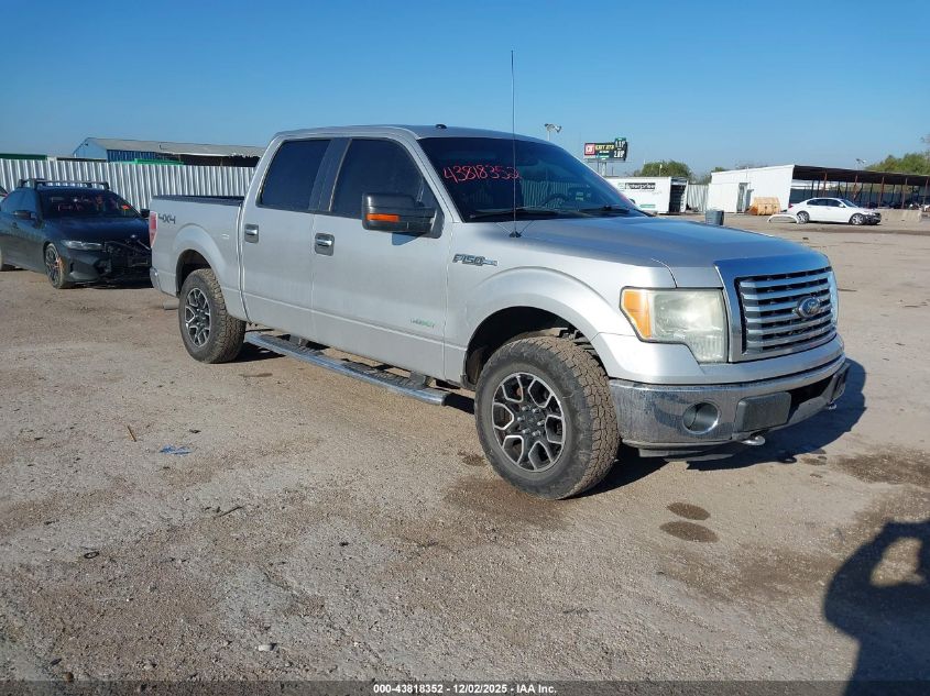 FORD F-150 XLT