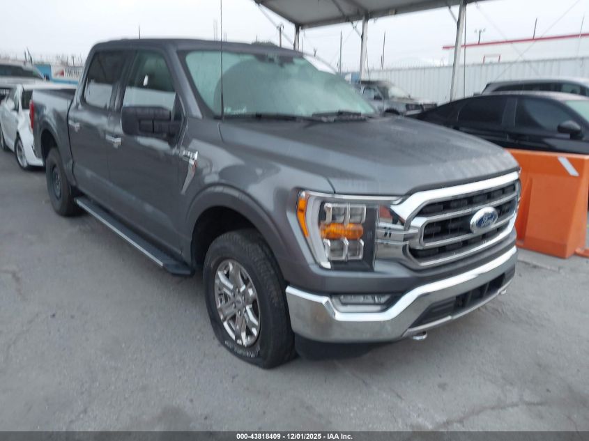 FORD F-150 XLT