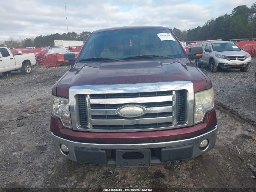 2009 Ford F-150 Fx4/Lariat/Xl/Xlt VIN: 1FTPX14V59FA52644 Lot: 43818410