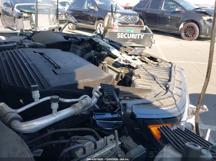 2024 Honda Pilot Ex-L VIN: 5FNYG1H42RB036542 Lot: 43818425