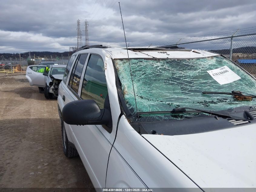 2007 Chevrolet Trailblazer Ls VIN: 1GNDT13S172238179 Lot: 43818606