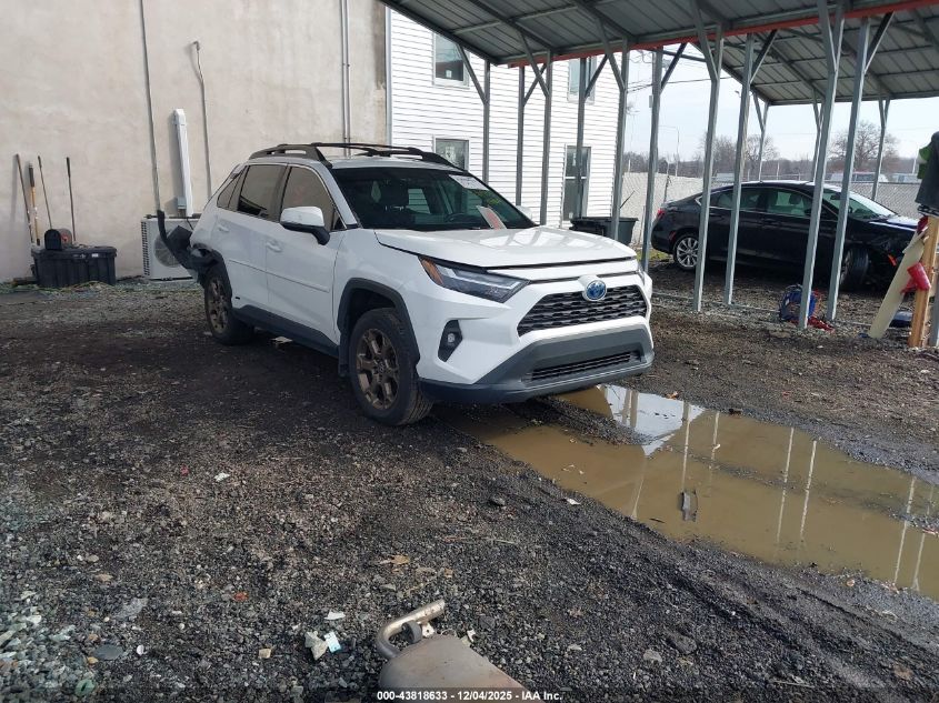TOYOTA RAV4 HYBRID WOODLAND EDITION