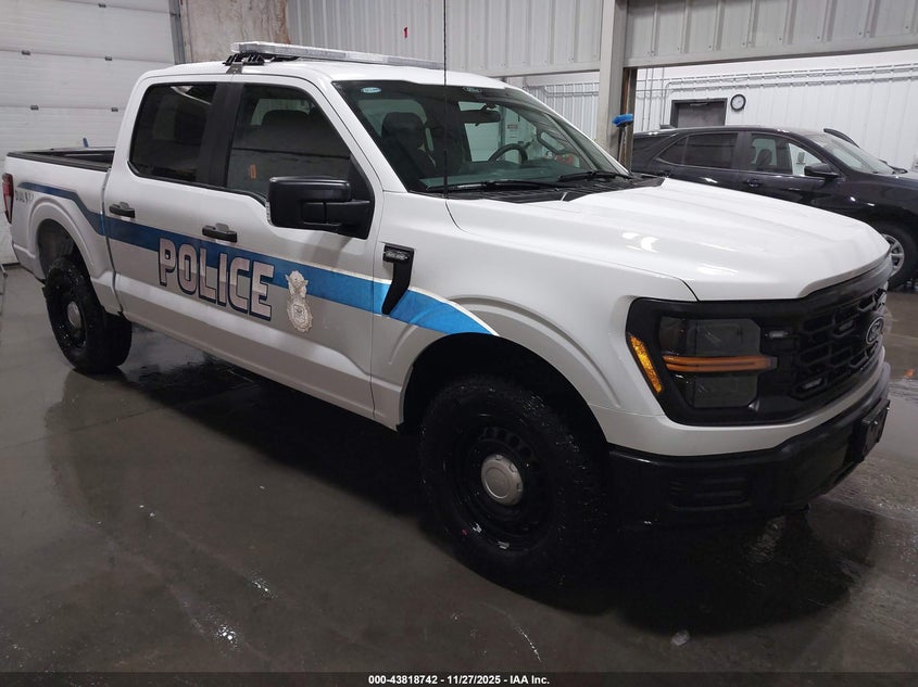 2024 FORD F150  (VIN: 1FTFW1P84RKF03817)