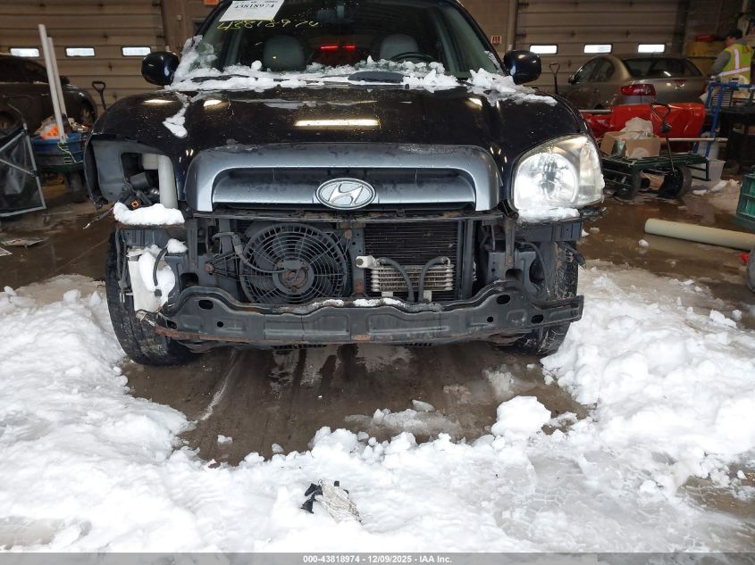 2005 Hyundai Santa Fe Gls/Lx VIN: KM8SC73E55U870659 Lot: 43818974