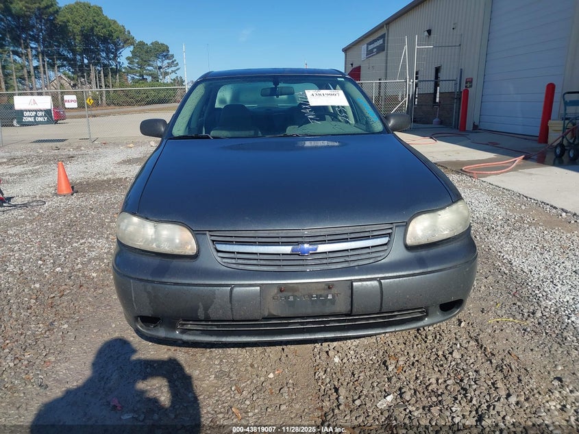 2005 Chevrolet Classic VIN: 1G1ND52F75M253575 Lot: 43819007