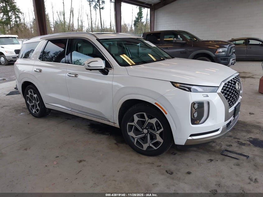 HYUNDAI PALISADE CALLIGRAPHY