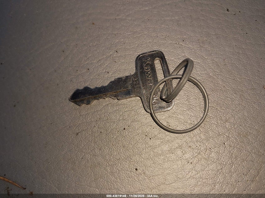 2024 Kawasaki Kaf1000 N VIN: JKAAFCN15RB501077 Lot: 43819146