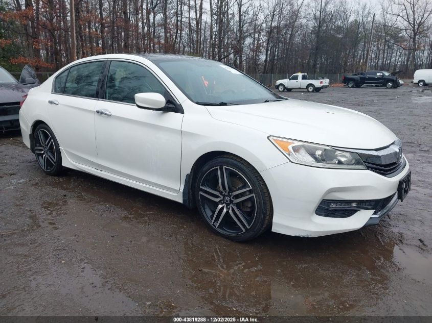 HONDA ACCORD SPORT SE