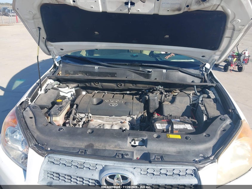 2009 Toyota Rav4 VIN: JTMZF33V195008185 Lot: 43819428