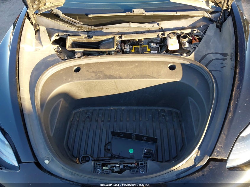 2021 Tesla Model 3 Standard Range Plus Rear-Wheel Drive VIN: 5YJ3E1EA5MF981035 Lot: 43819454