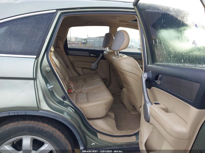 2007 Honda Cr-V Ex-L VIN: JHLRE38737C034117 Lot: 43819787