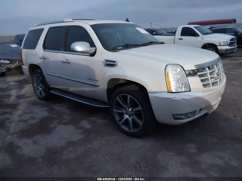CADILLAC ESCALADE STANDARD