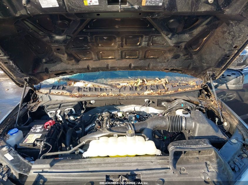 2020 Ford F-150 Xl VIN: 1FTEX1EP4LFA55999 Lot: 43820653