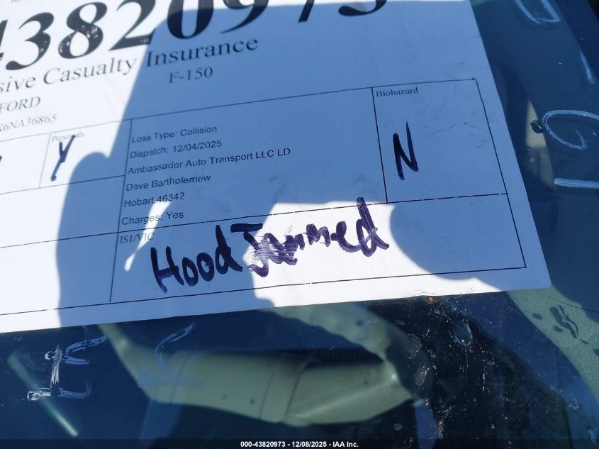 2006 Ford F-150 Stx/Xl/Xlt VIN: 1FTRX12WX6NA36865 Lot: 43820973