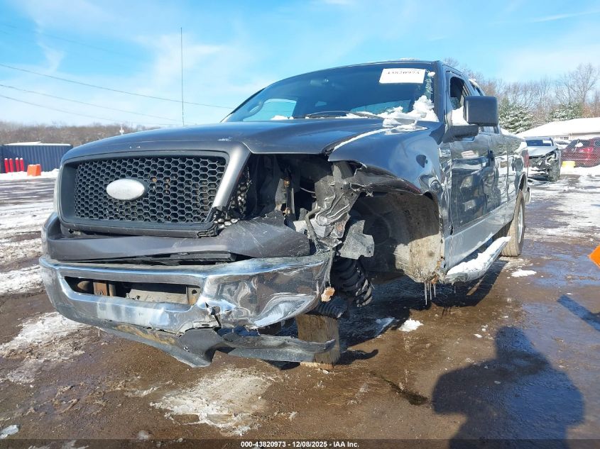 2006 Ford F-150 Stx/Xl/Xlt VIN: 1FTRX12WX6NA36865 Lot: 43820973